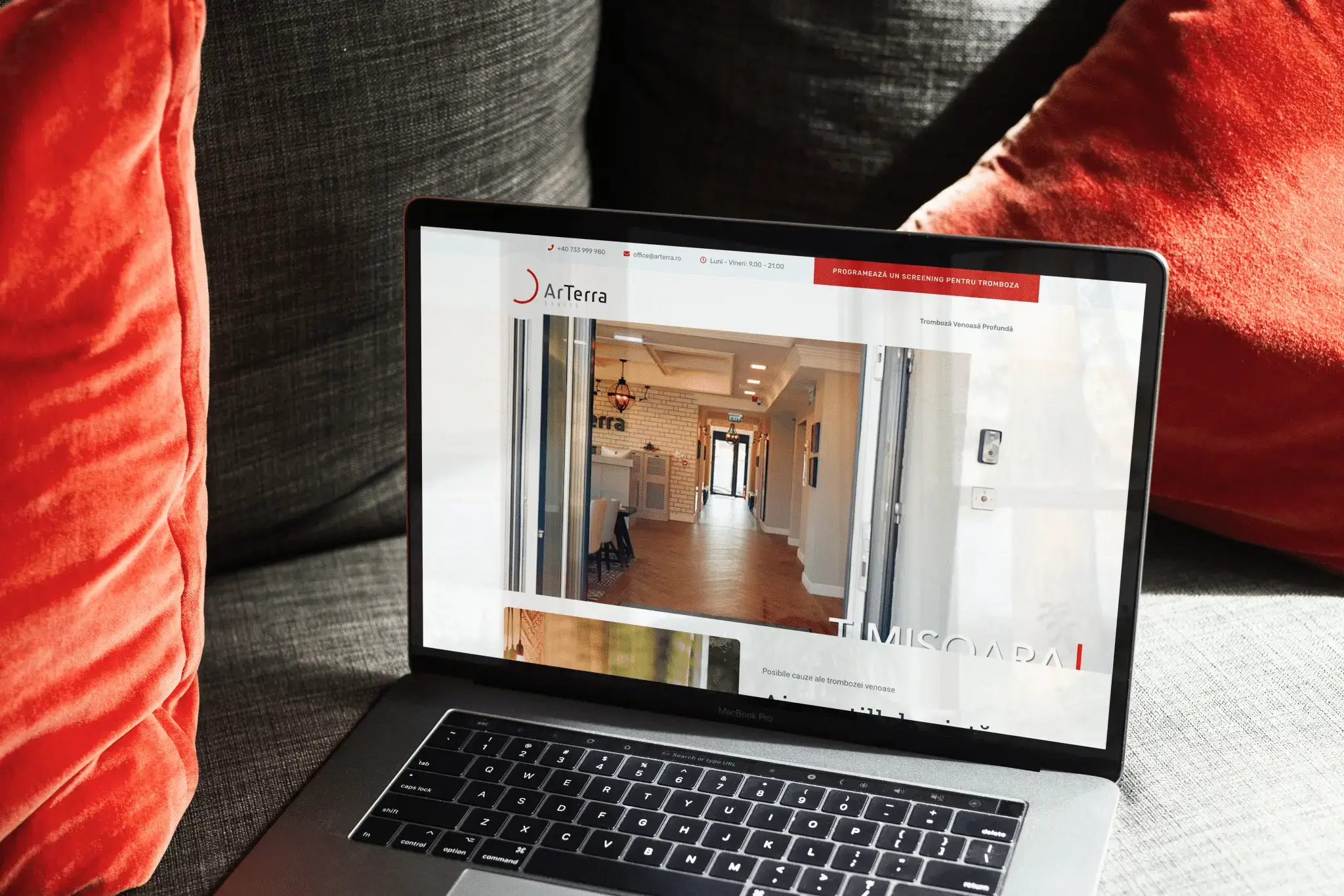 Web Design ArTerra Health