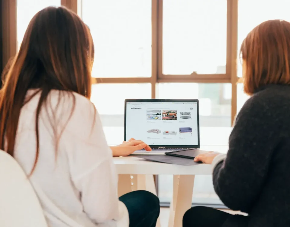 Curs Web Design Timisoara – Pasiune transformata in cariera