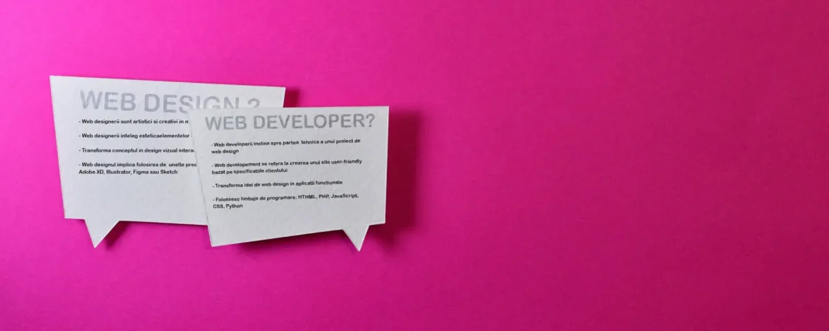 Website Developer vs Website Designer: Care este diferenta?