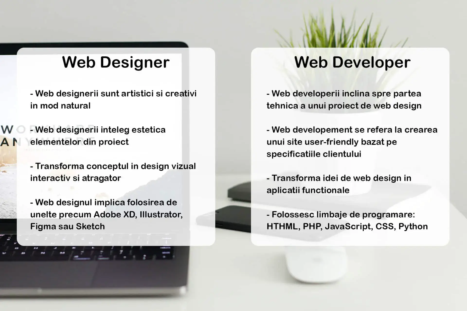 Website Developer vs Website Designer: Care este diferenta?