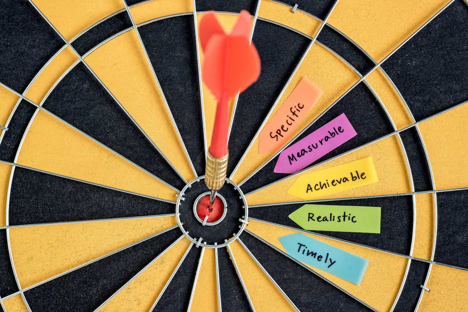 Web Design WordPress Timisoara