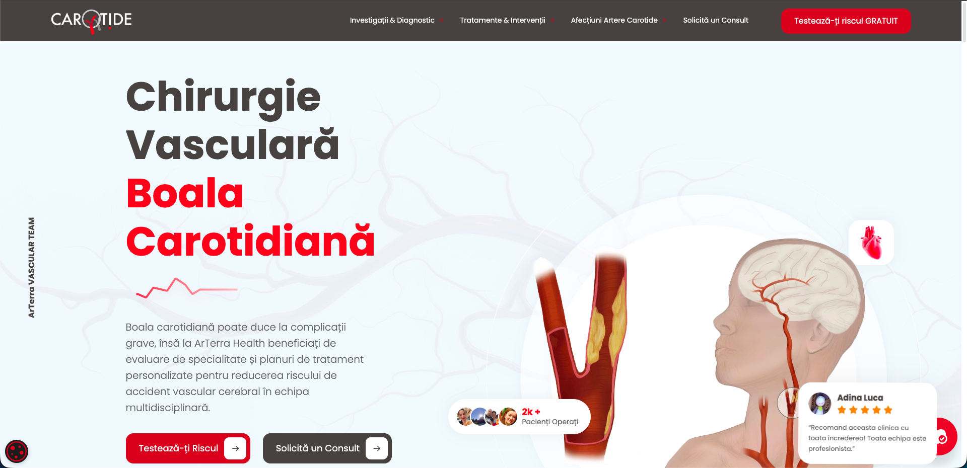 3 motive pentru care ProjectMedia domina web design Timisoara