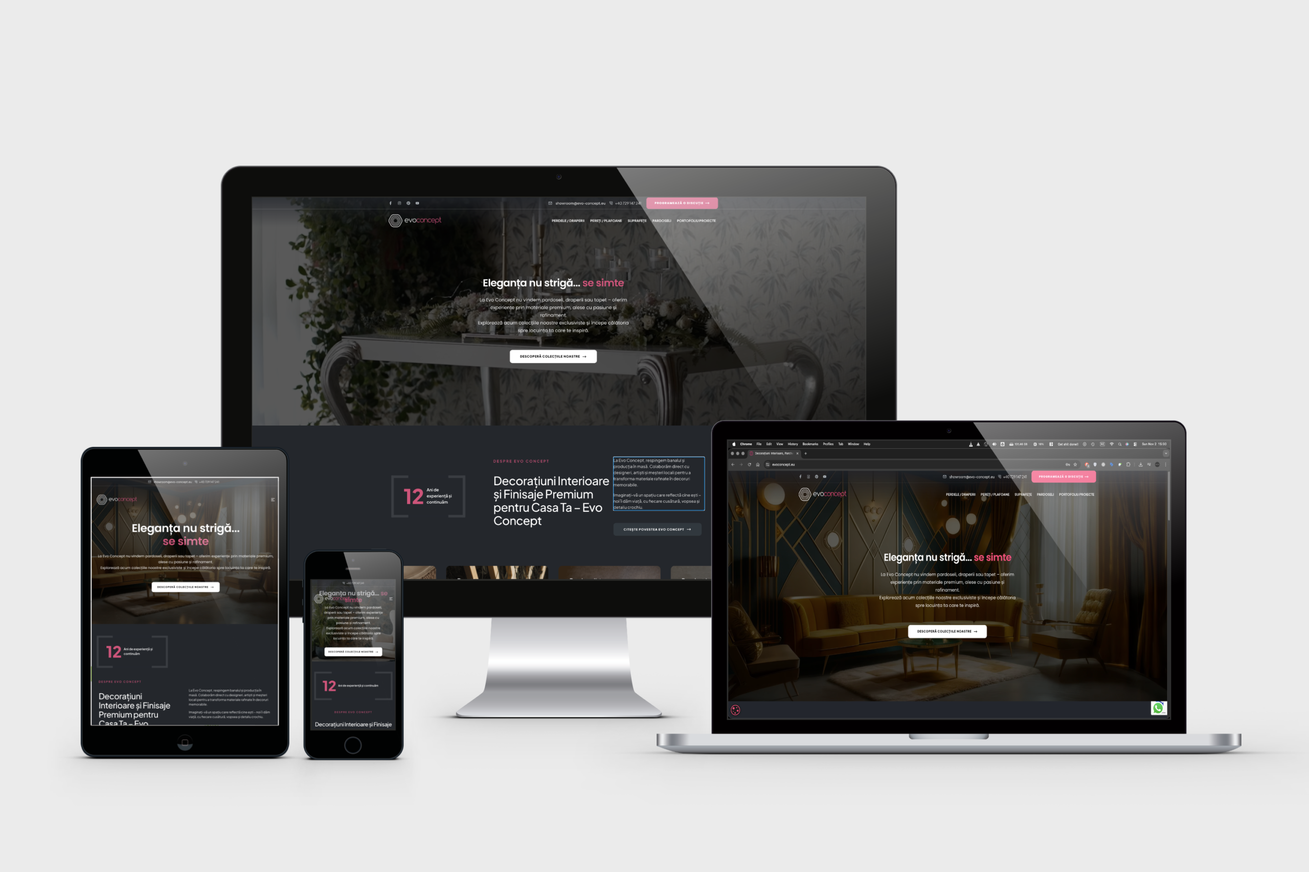 Web Design Timisoara - Evo Concept