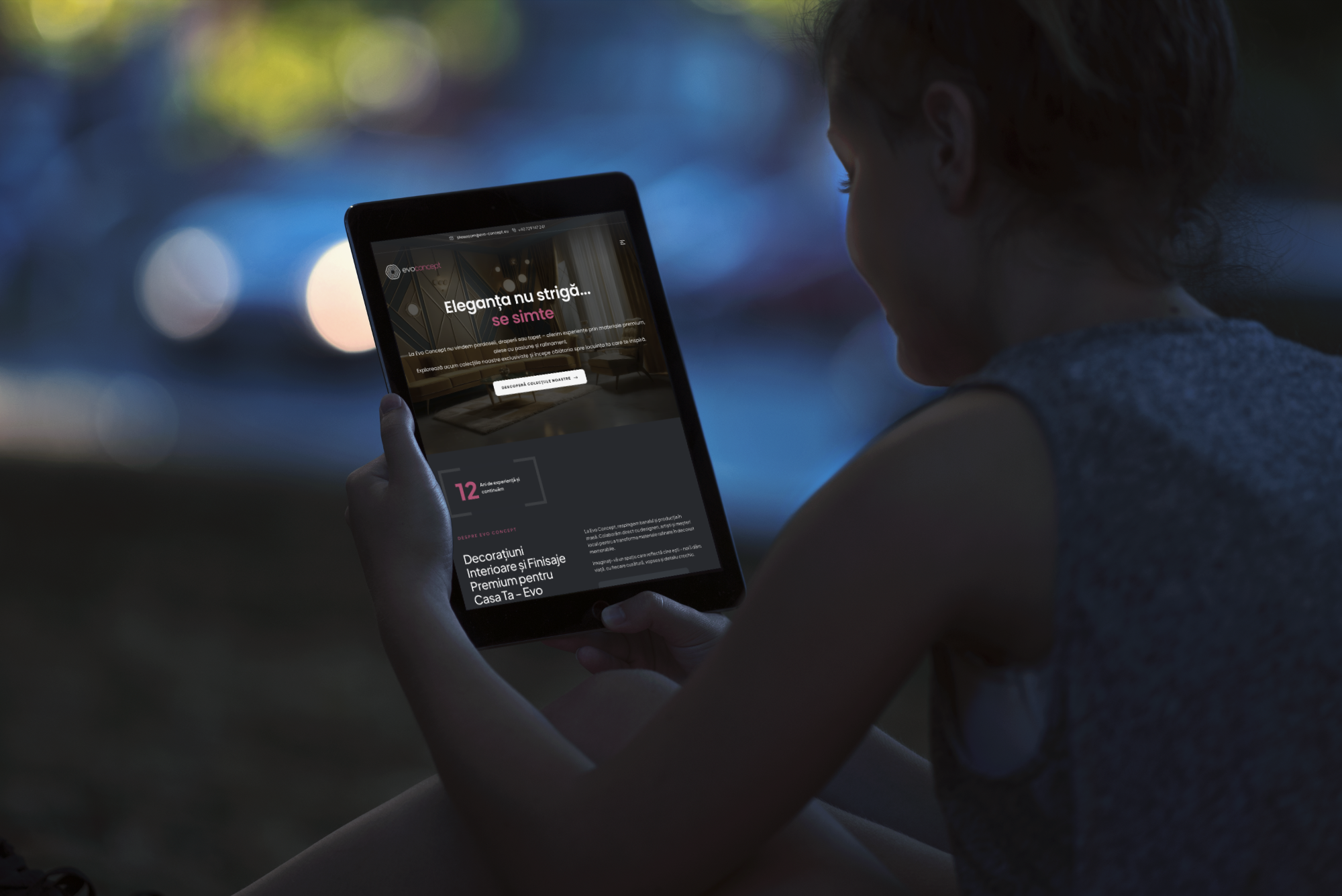 Web design Timisoara — Evo Concept — ProjectMedia