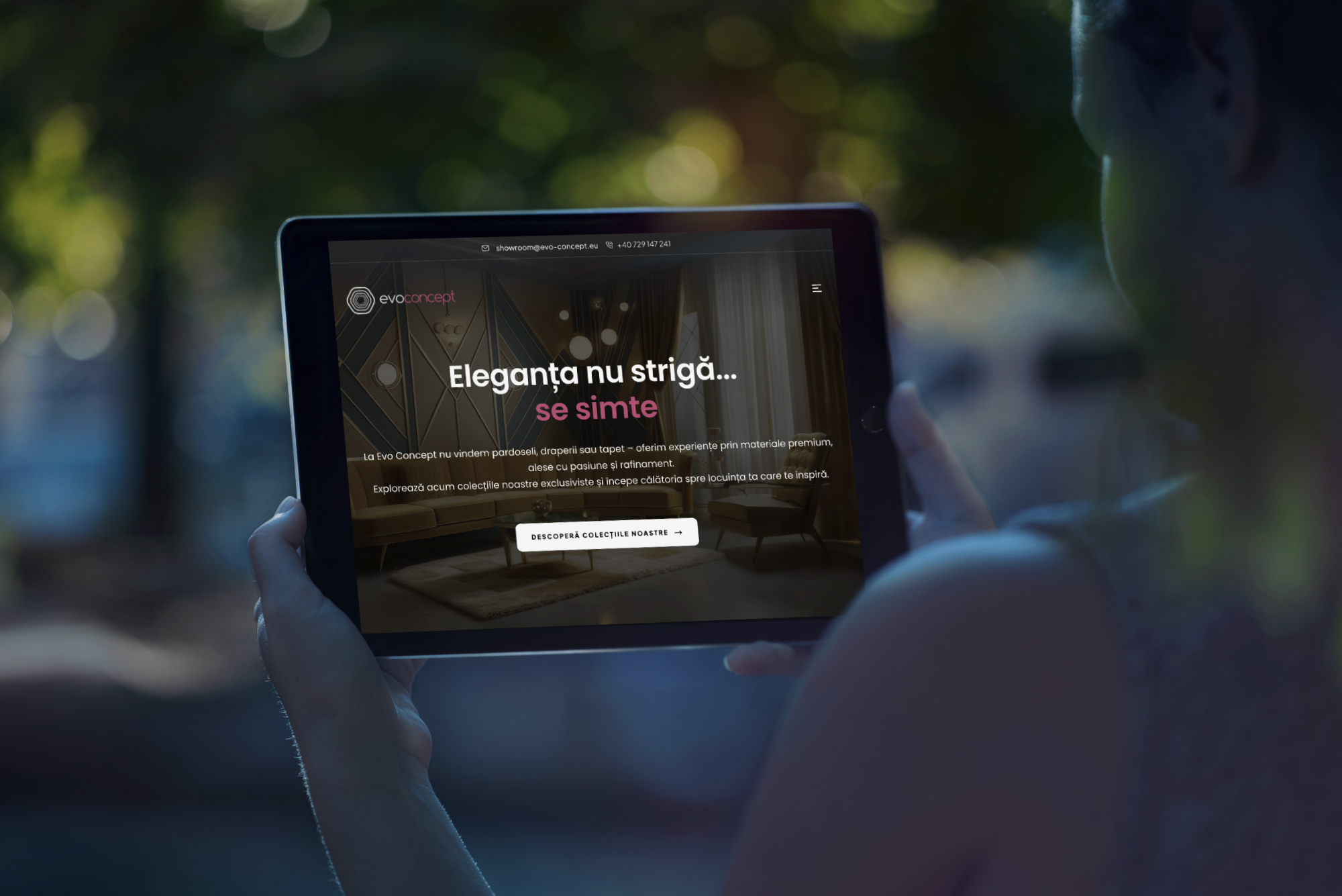 Web design Timisoara — Evo Concept — ProjectMedia