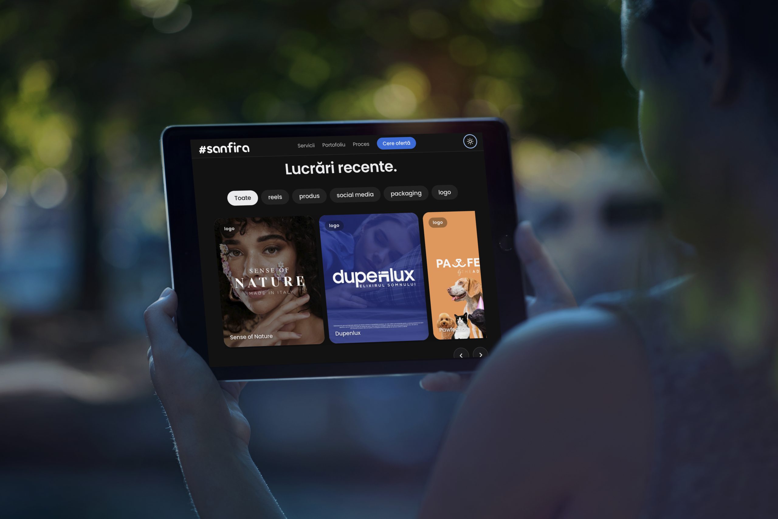 Sanfira - Web Design Timisoara